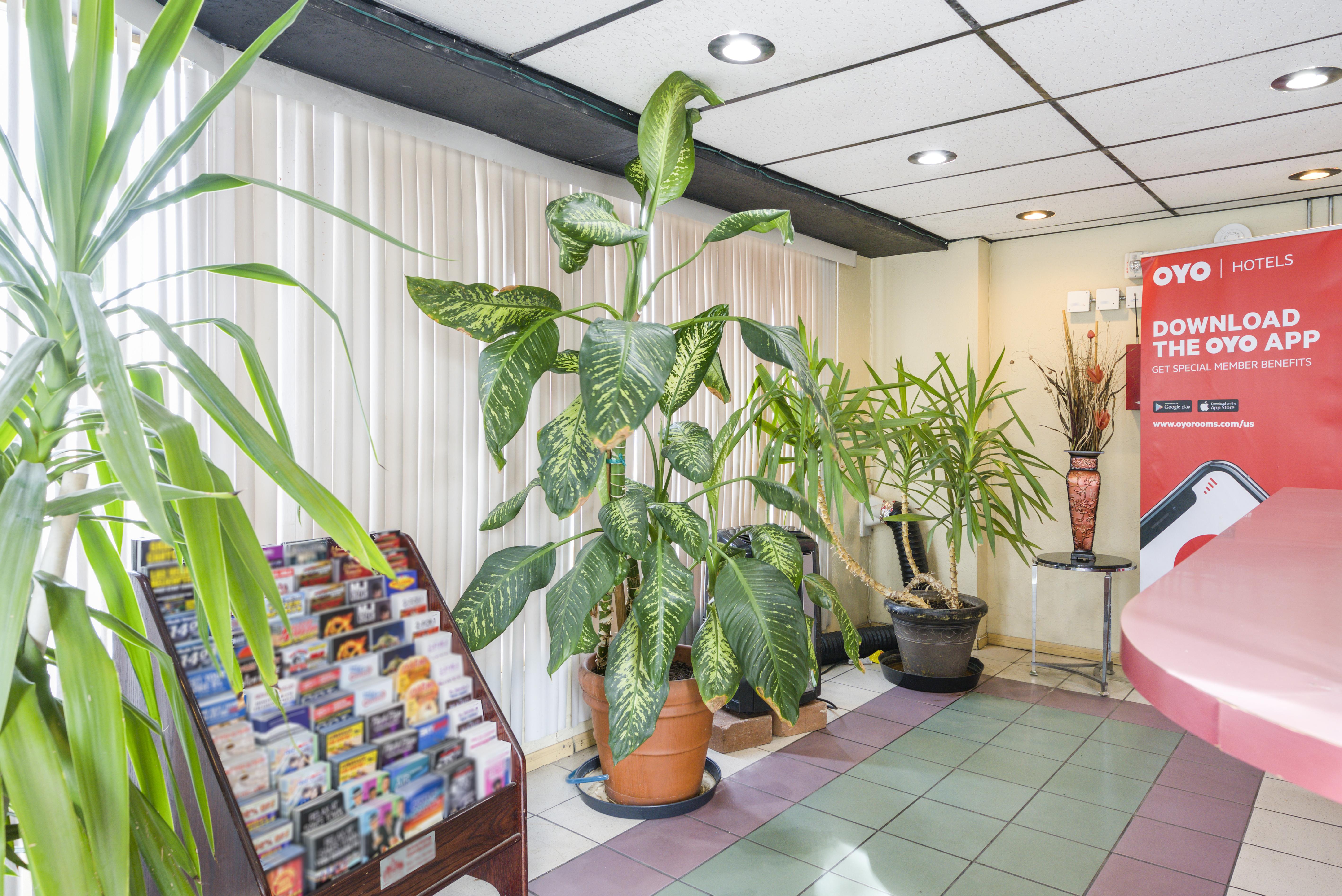 Oyo Oasis Motel Las Vegas I-15 Eksteriør bilde